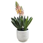 Faux Orange Aloe In Pot TRA1078 Main