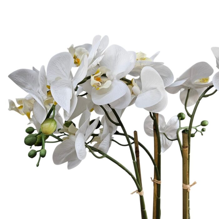 Faux White Orchid In Pot TRA0127 Close