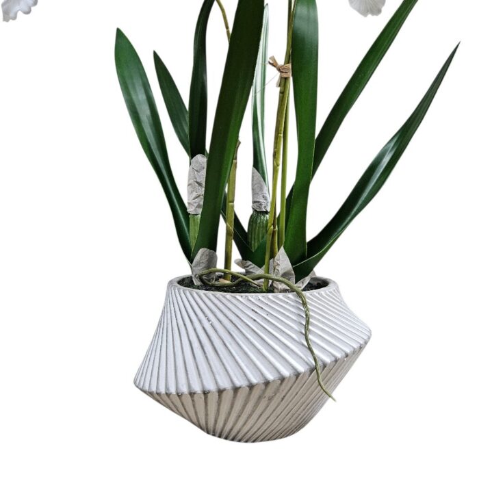 Oncidium In Pot Faux TRA0124 Bottom