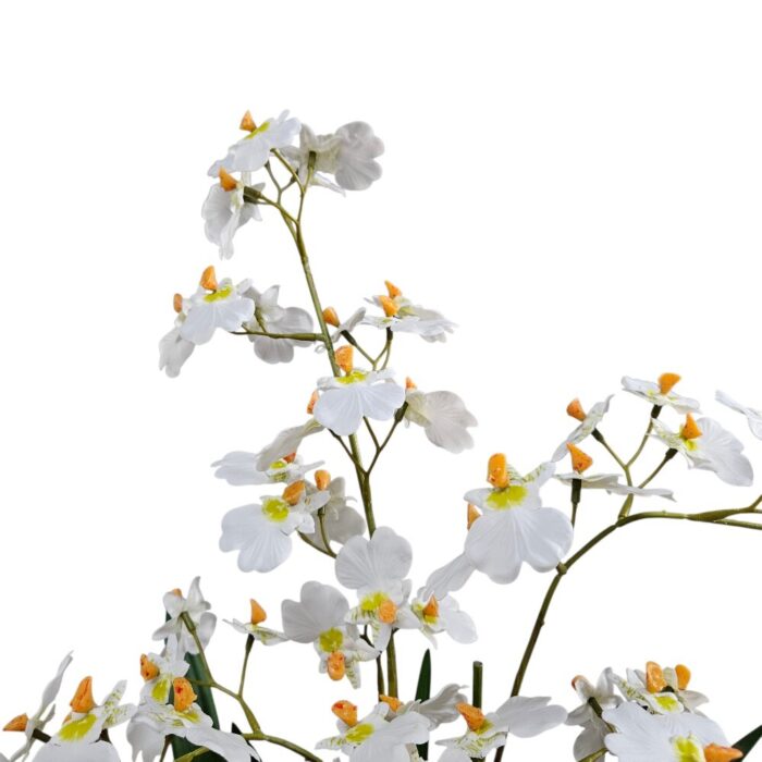 Oncidium In Pot Faux TRA0124 Close