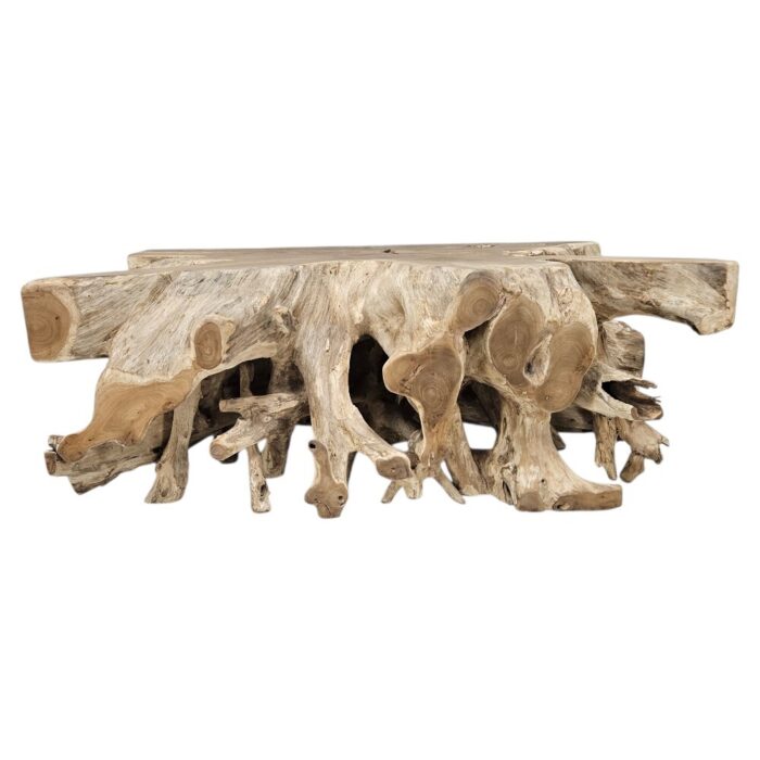 Root Block Rectangular Coffee Table INJ9600A2 Front Root Block Rectangular Coffee Table INJ9600A2 Front