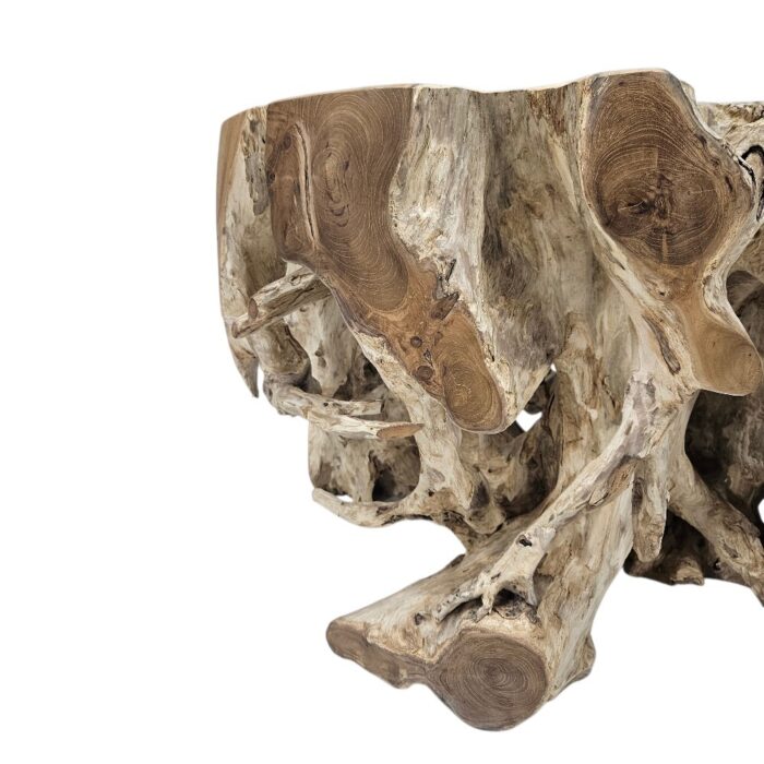 Root Block Teak Coffee Table INJ8600 Close Root Block Teak Coffee Table INJ8600 Close