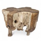 Root Block Teak Coffee Table INJ8600A2 Main