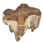 Root Block Teak Coffee Table INJ8600A2 Side Top