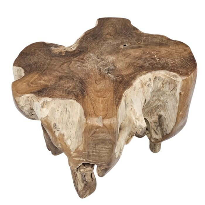 Root Block Teak Coffee Table INJ8600A2 Side Top