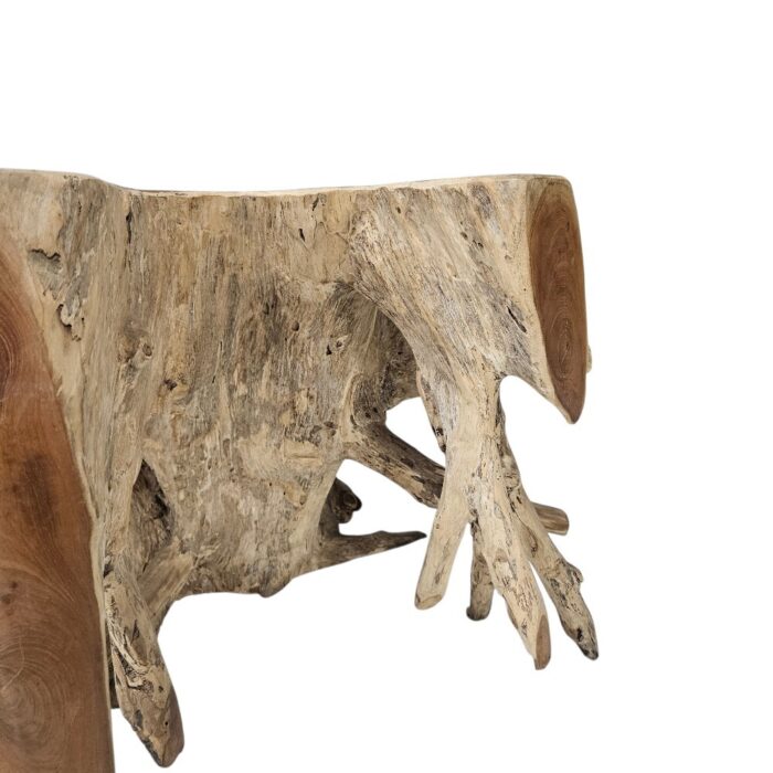 Root Block Teak Coffee Table INJ8600A3 Close