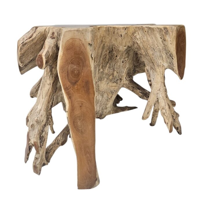 Root Block Teak Coffee Table INJ8600A3 Front