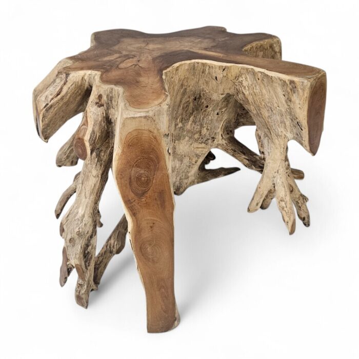 Root Block Teak Coffee Table INJ8600A3 Main