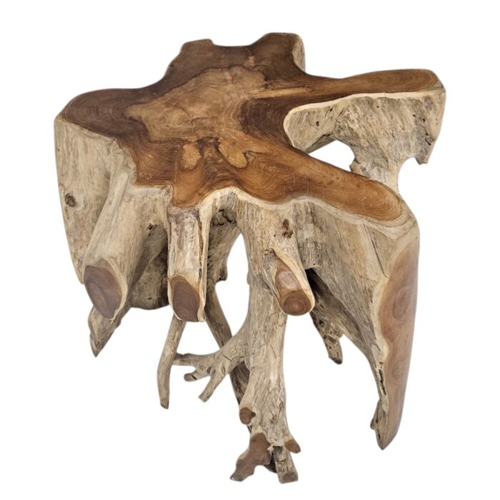 Root Block Teak Coffee Table INJ8600A3 Side