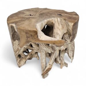 Burmese Teak Tree Root Side Table