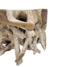 Root Side Table INJ8600A Close