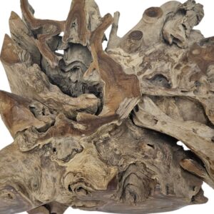 Root Tree Teak Coffee Table INJ4605A14 Close Root Tree Teak Coffee Table