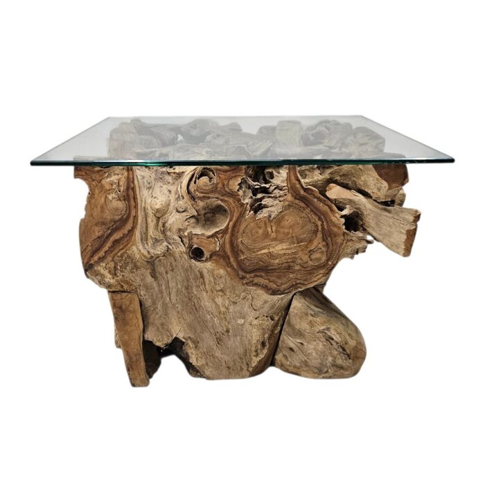 Root Tree Teak Coffee Table INJ4605A14 Front Root Tree Teak Coffee Table