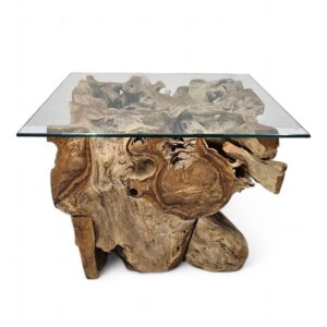 Root Tree Teak Coffee Table