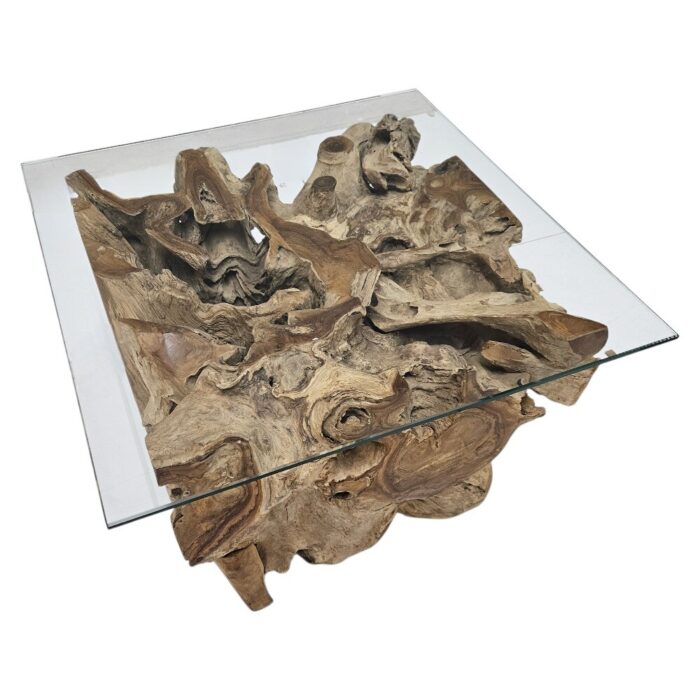 Root Tree Teak Coffee Table INJ4605A14 Side Root Tree Teak Coffee Table