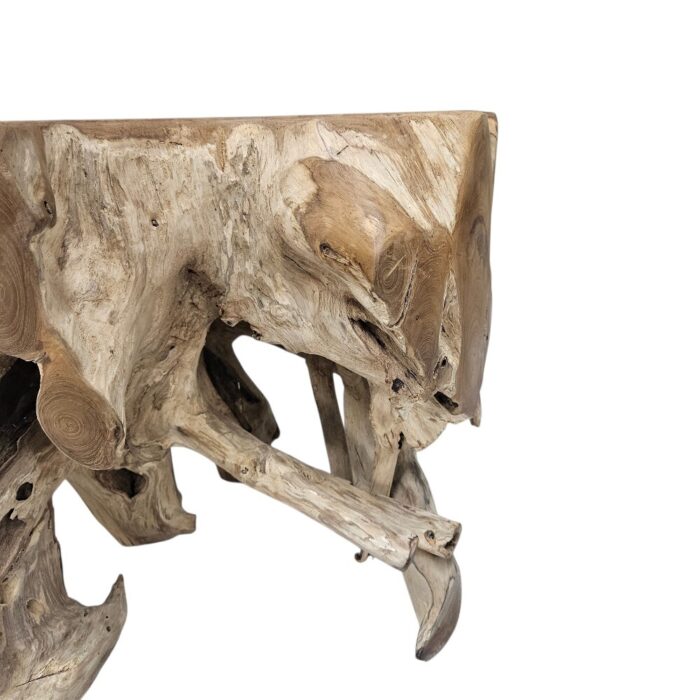 Side Root Block Table Front INJ8600A1 Close Side