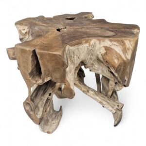 Burmese Teak Tree Root Side Table