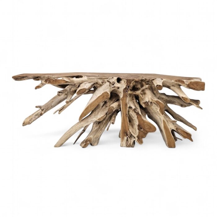 Teak Root Console Table INJ5400A11 Main Teak Root Console Table INJ5400A11 Main