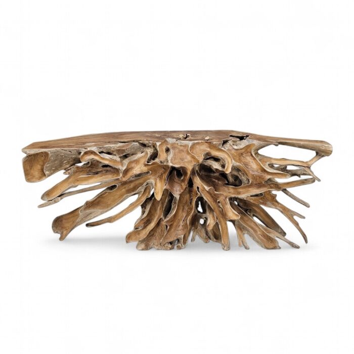 Teak Root Console Table NJA5060A6 Main Teak Root Console Table NJA5060A6 Main
