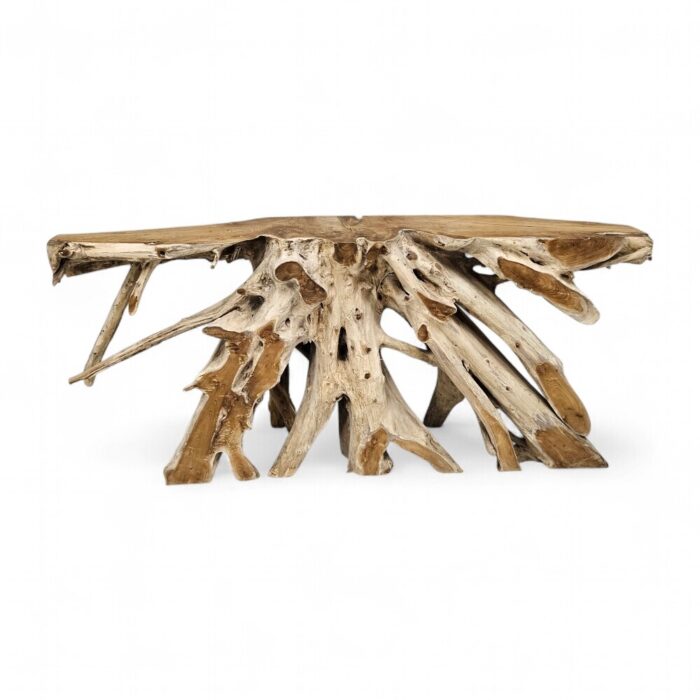 Teak Root Console Table NJA9073A6 Main
