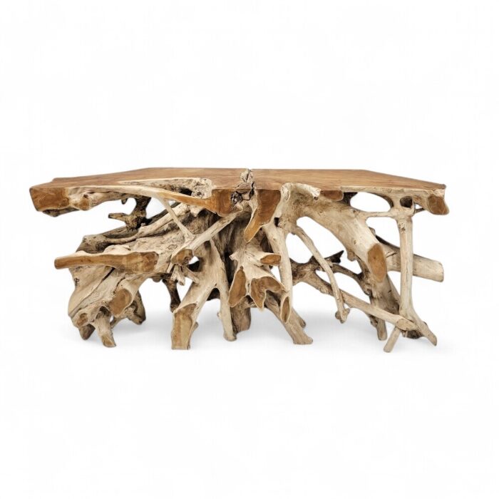 Teak Root Console Table NJA9073A8 Main Teak Root Console Table NJA9073A8 Main