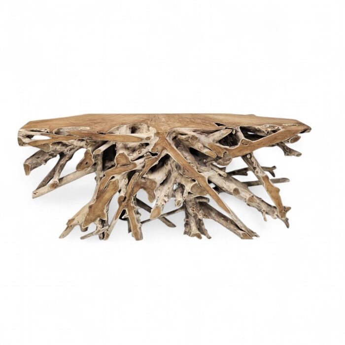 Teak Root Console Table NJA9073A9 Main