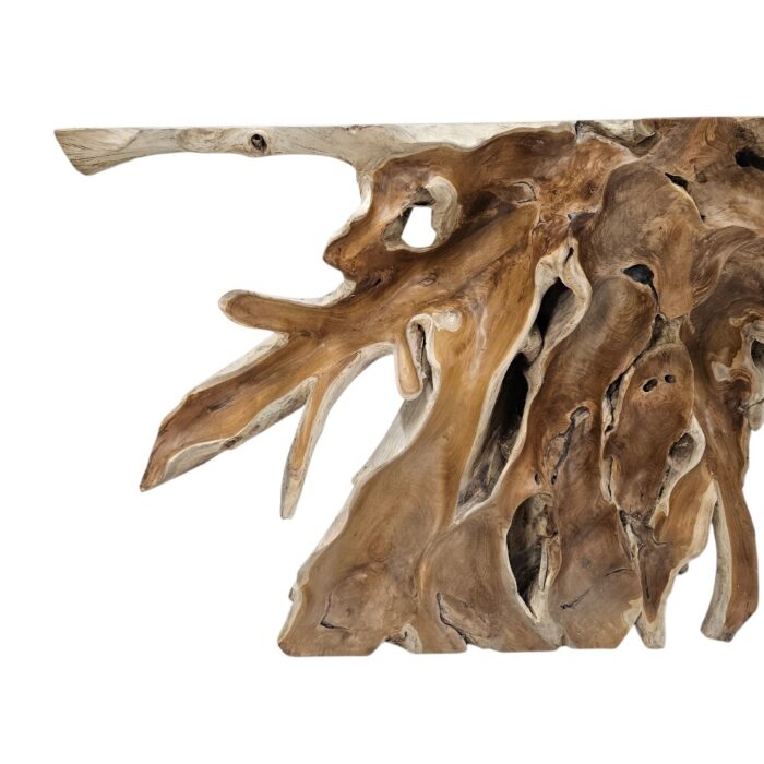 Teak Root Console Table Scoop INJ5001A2 Close Side
