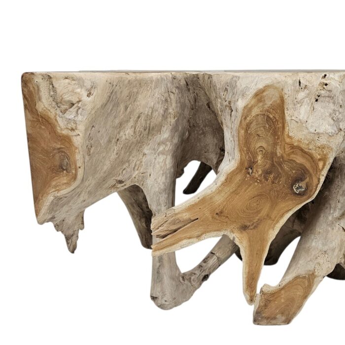 Teak Root Slice Side Table Block INJ3150A8 Close
