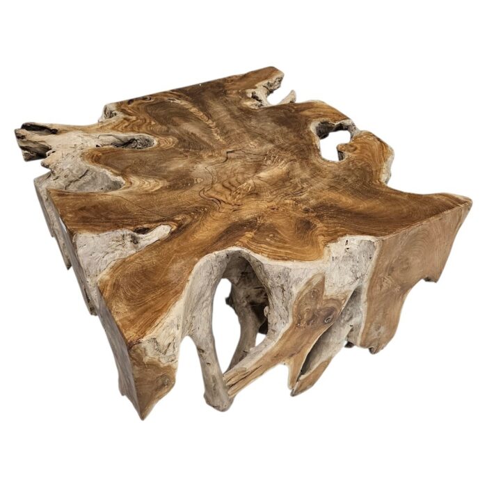 Teak Root Slice Side Table Block INJ3150A8 Side
