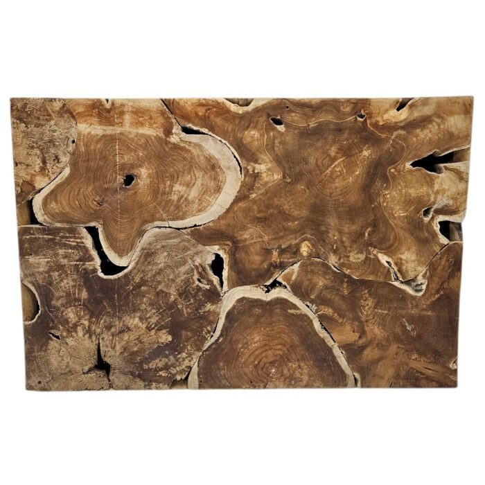 Teak Slice Console Table INJ9850 Front