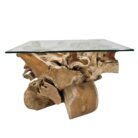 Teak Tree Root Coffee Table