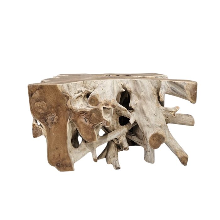 Teak Tree Root Side Table Block INJ3150A7 Front Teak Tree Root Side Table Block INJ3150A7 Front
