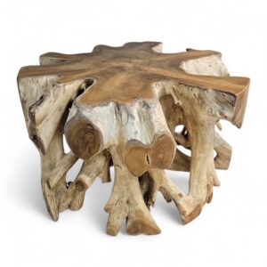 Burmese Teak Tree Root Coffee Table