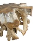 Tree Root Block Coffee Table INJ3002A1 Close