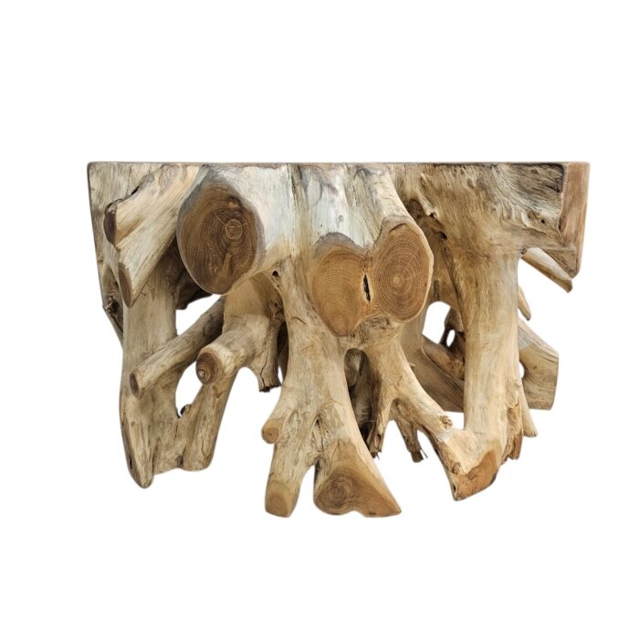 Tree Root Block Coffee Table INJ3002A1 Front