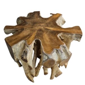 Tree Root Block Coffee Table INJ3002A1 Top