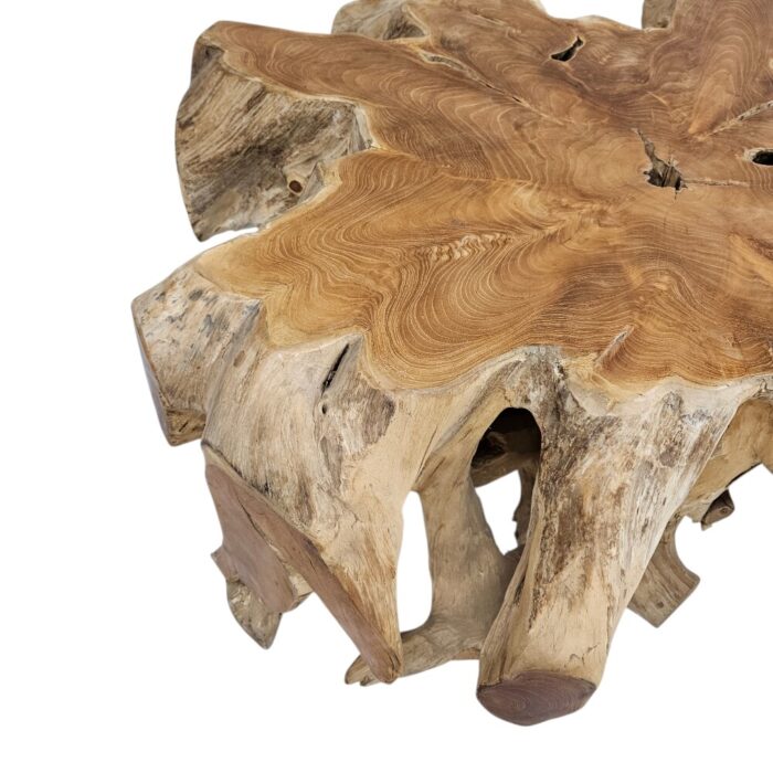 Tree Root Block Coffee Table INJ3005A3 Close Tree Root Block Coffee Table INJ3005A3 Close