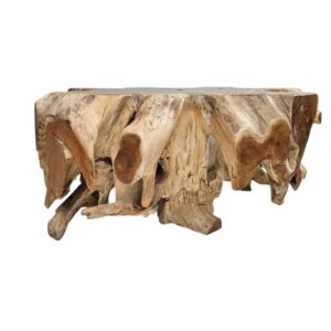 Tree Root Block Coffee Table INJ3005A3 Front