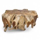 Tree Root Block Coffee Table INJ3005A3 Main