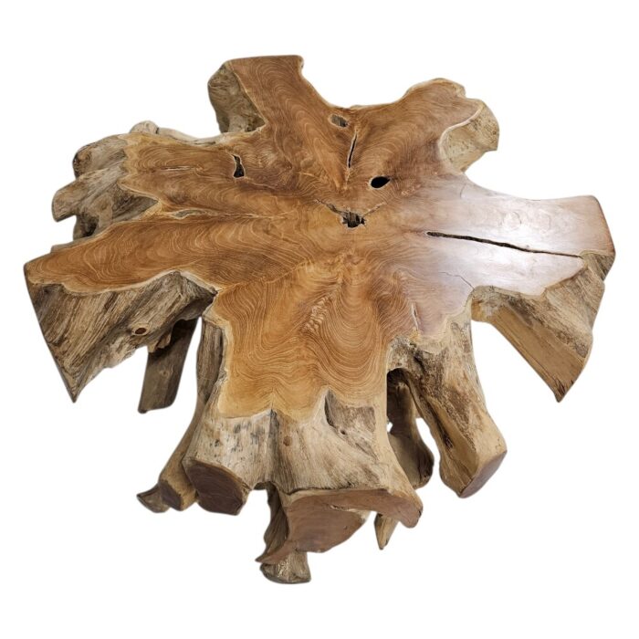 Tree Root Block Coffee Table INJ3005A3 Top Tree Root Block Coffee Table INJ3005A3 Top