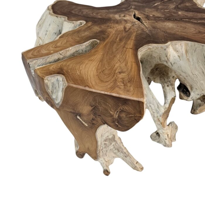 Tree Root Block Coffee Table INJ3005A4 Close