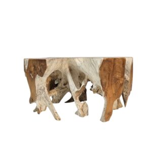 Tree Root Block Coffee Table INJ3005A4 Front