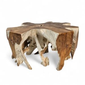 Burmese Teak Tree Root Coffee Table