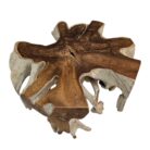 Tree Root Block Coffee Table INJ3005A4 Top