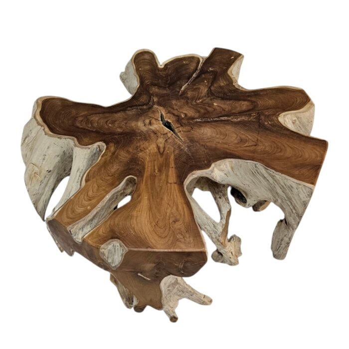 Tree Root Block Coffee Table INJ3005A4 Top