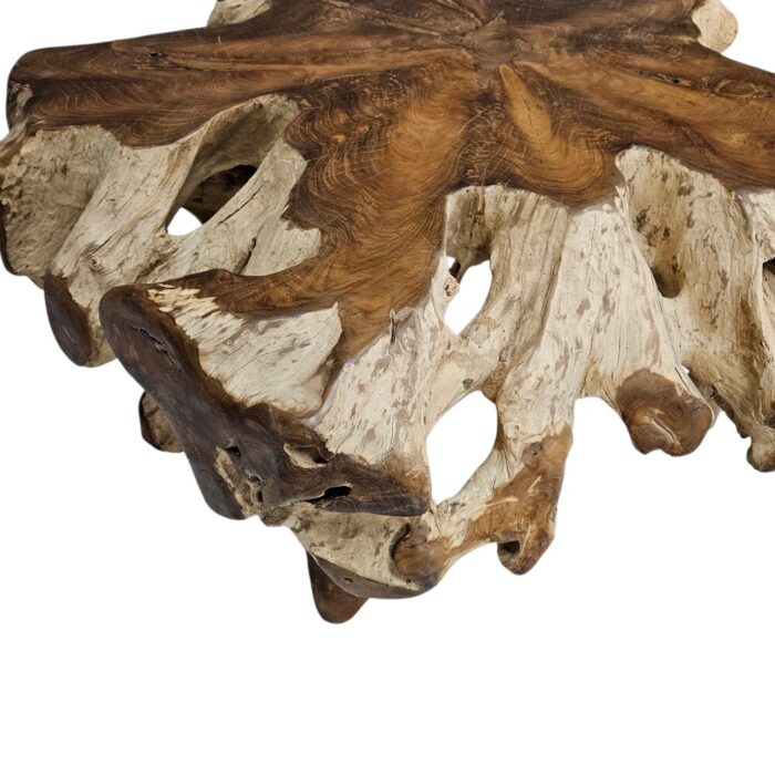Tree Root Block Coffee Table INJ3005A5 Close