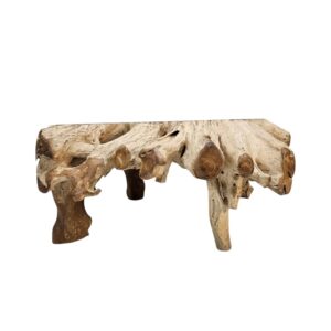 Tree Root Block Coffee Table INJ3005A5 Front