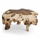 Tree Root Block Coffee Table INJ3005A5 Main
