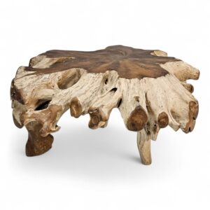Burmese Teak Tree Root Coffee Table
