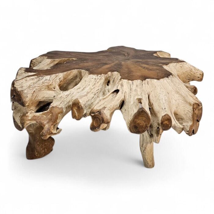 Tree Root Block Coffee Table INJ3005A5 Main